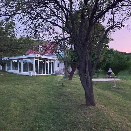 Honey Hill Apartment Fruska Gora Cerevic Zewnętrze zdjęcie