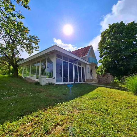 Honey Hill Apartment Fruska Gora Cerevic Zewnętrze zdjęcie
