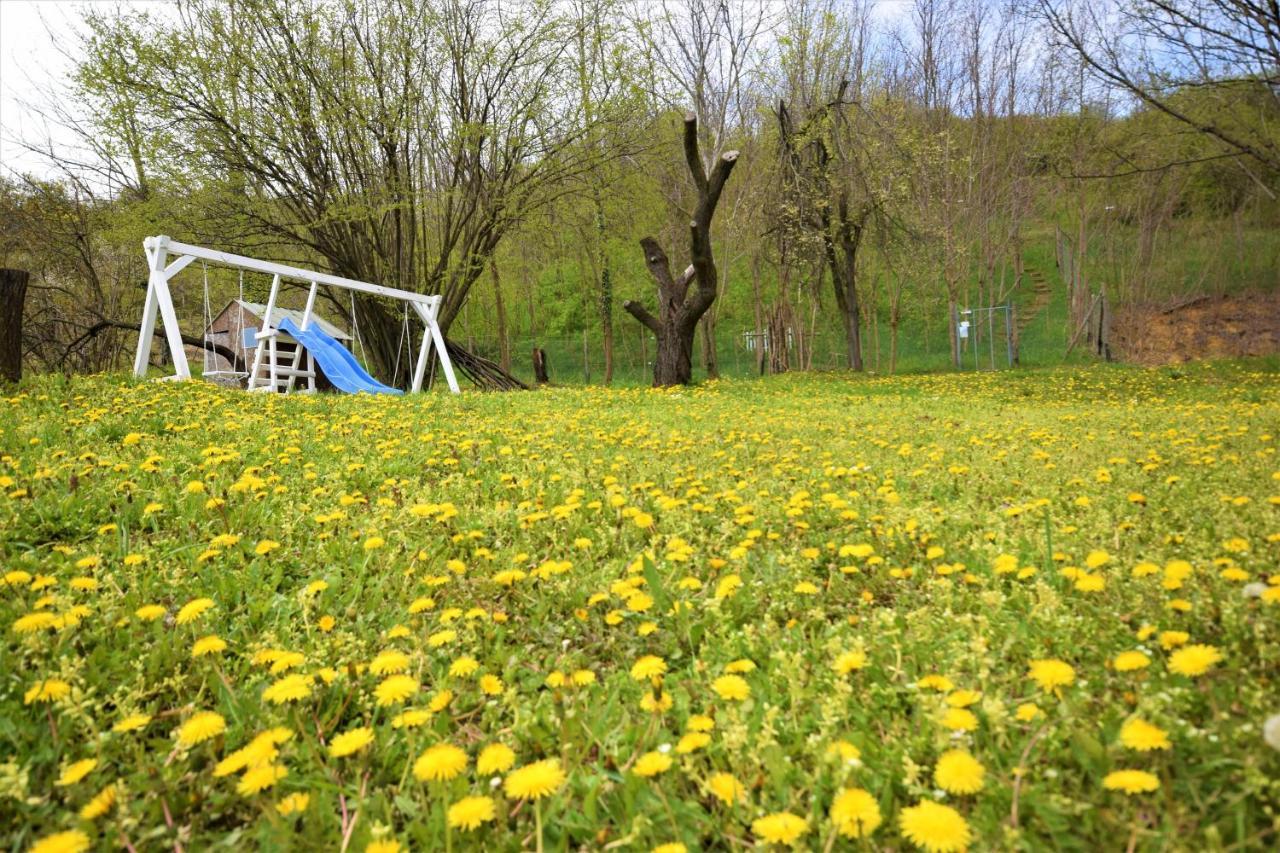 Honey Hill Apartment Fruska Gora Cerevic Zewnętrze zdjęcie