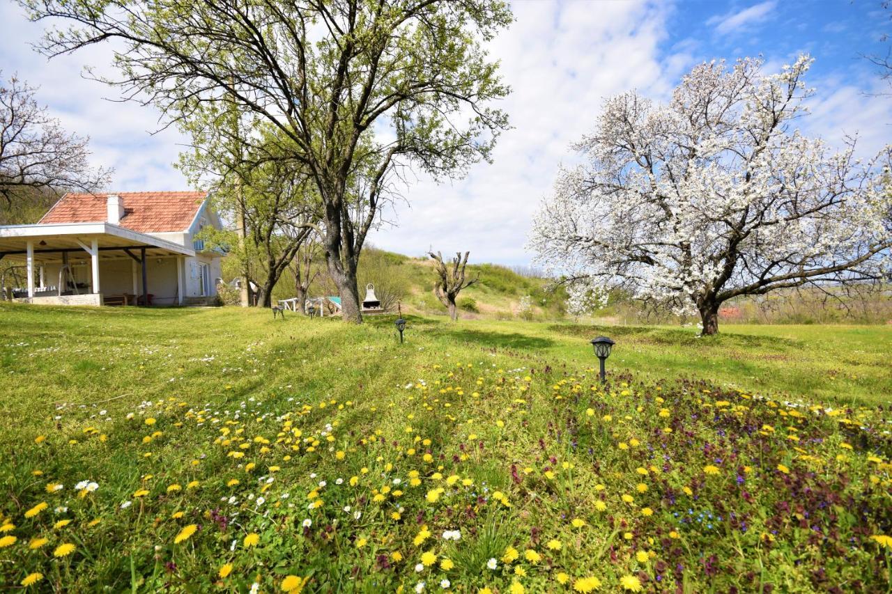 Honey Hill Apartment Fruska Gora Cerevic Zewnętrze zdjęcie