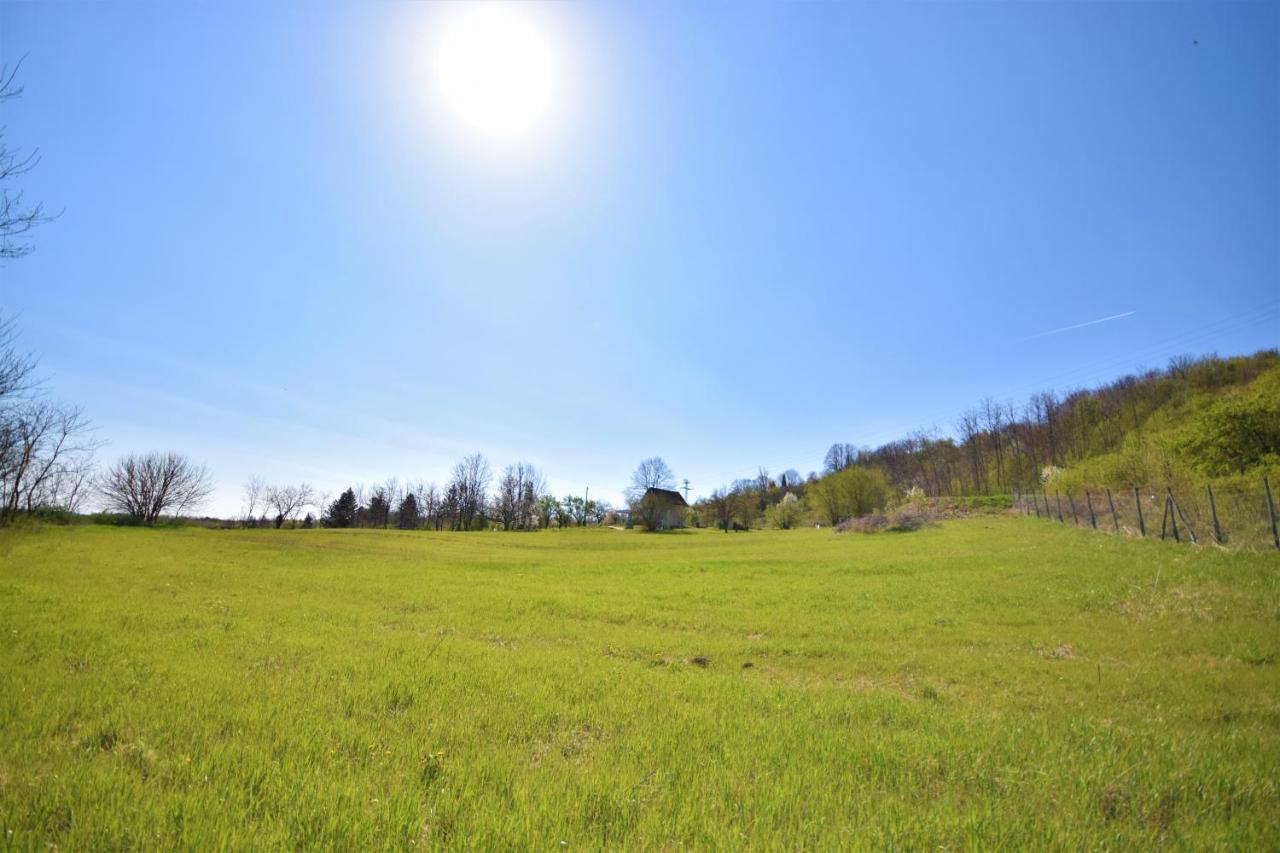 Honey Hill Apartment Fruska Gora Cerevic Zewnętrze zdjęcie