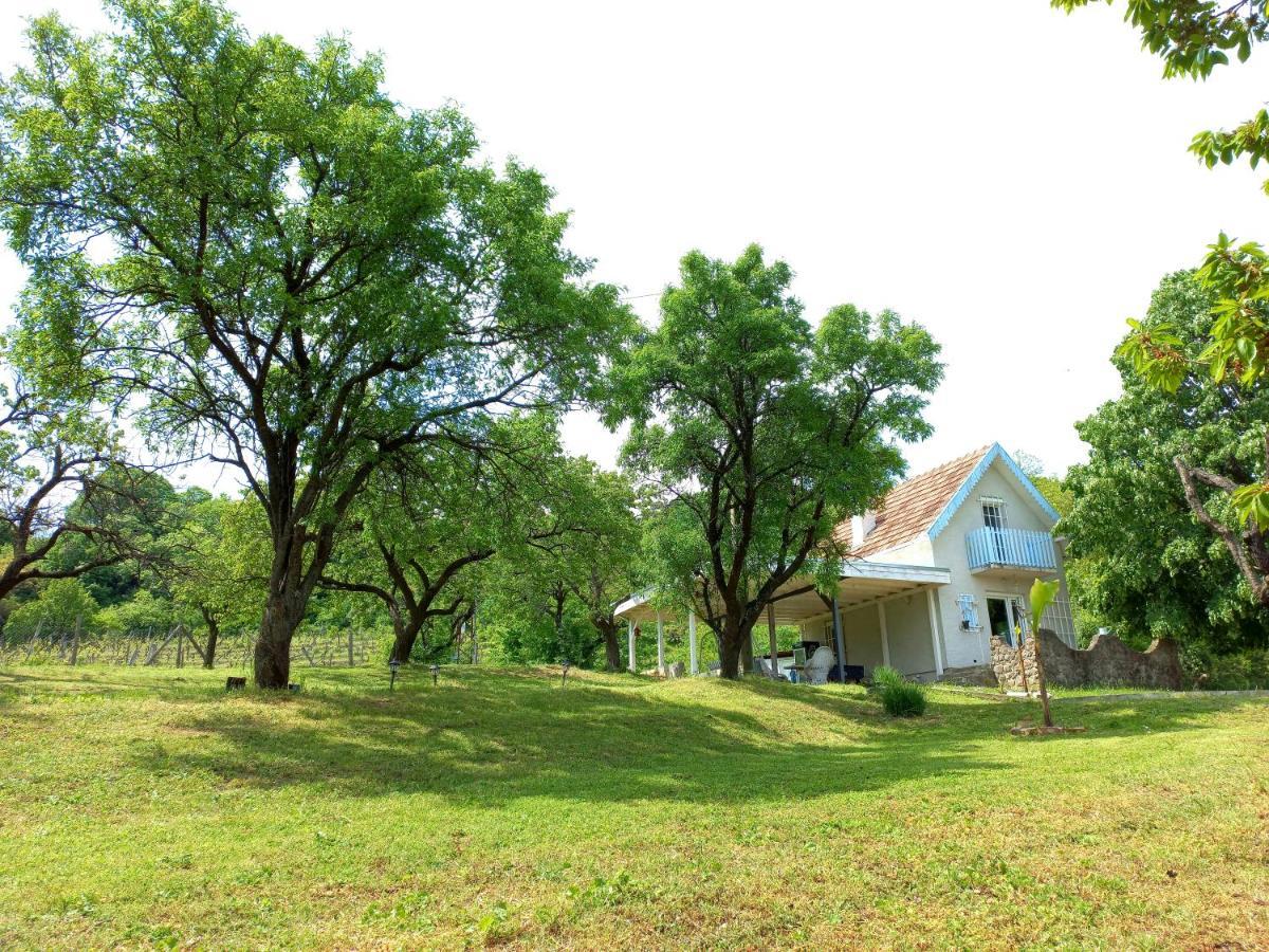 Honey Hill Apartment Fruska Gora Cerevic Zewnętrze zdjęcie