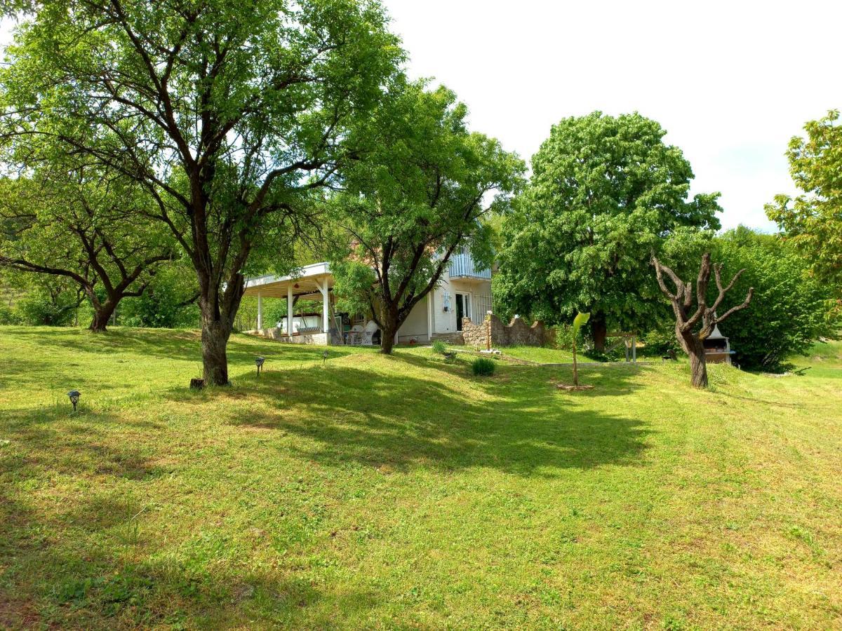 Honey Hill Apartment Fruska Gora Cerevic Zewnętrze zdjęcie