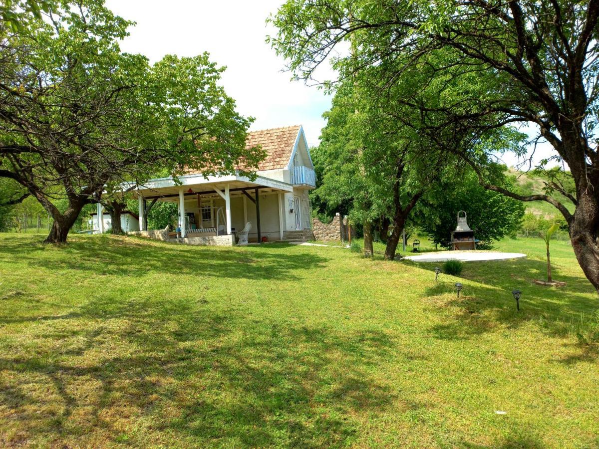 Honey Hill Apartment Fruska Gora Cerevic Zewnętrze zdjęcie