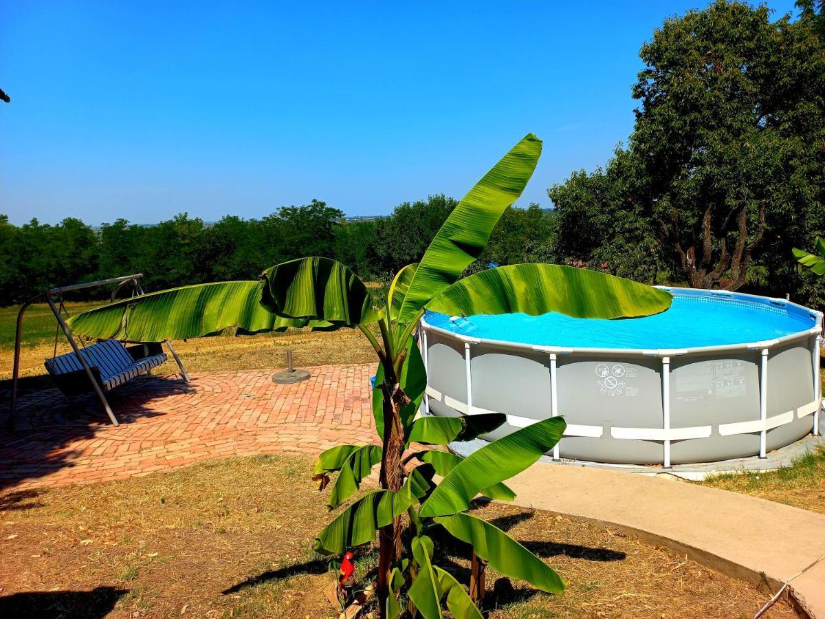Honey Hill Apartment Fruska Gora Cerevic Zewnętrze zdjęcie