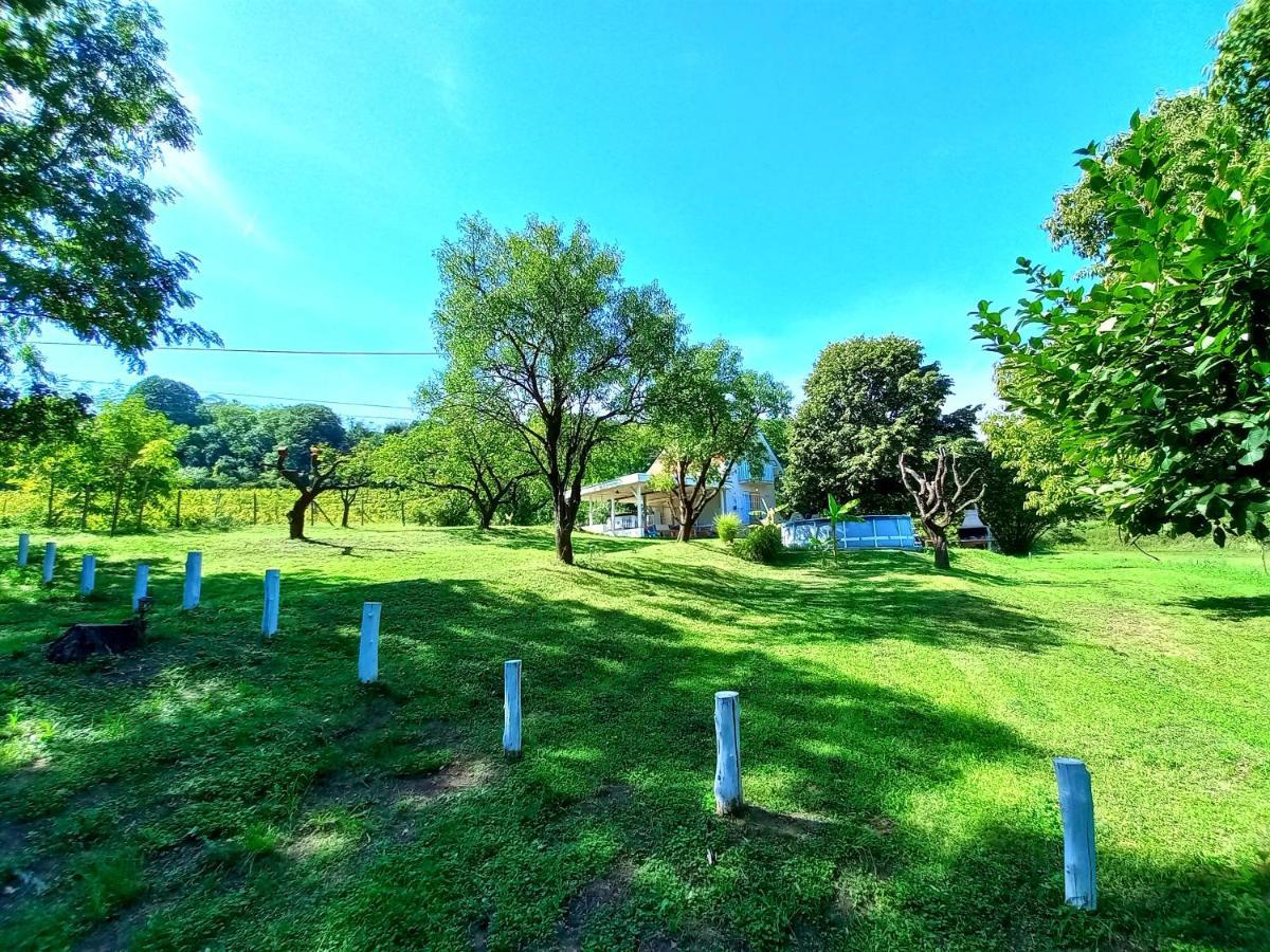 Honey Hill Apartment Fruska Gora Cerevic Zewnętrze zdjęcie