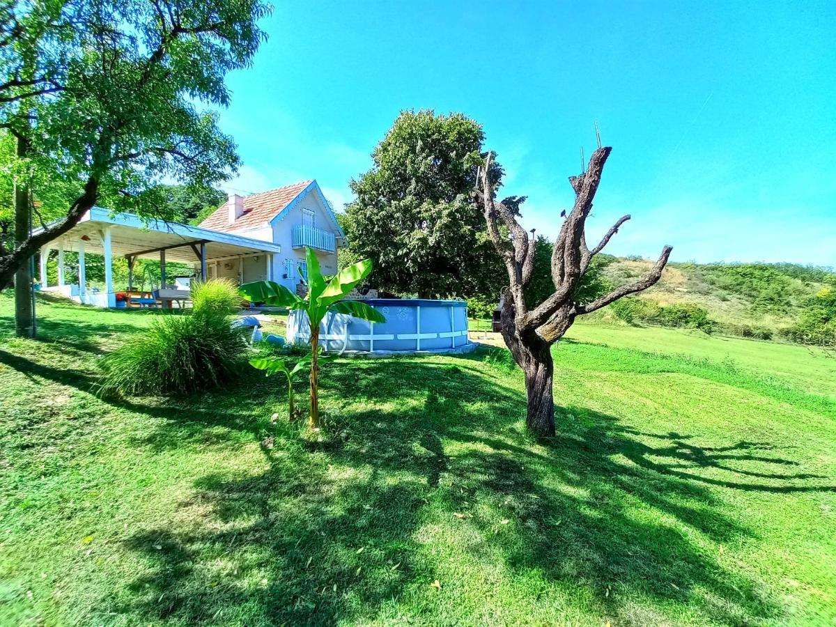 Honey Hill Apartment Fruska Gora Cerevic Zewnętrze zdjęcie