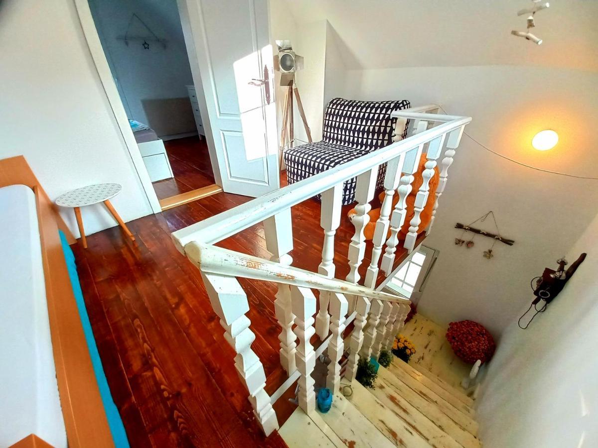 Honey Hill Apartment Fruska Gora Cerevic Zewnętrze zdjęcie