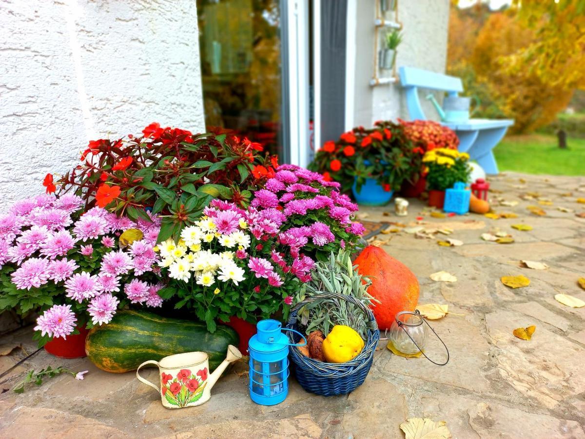 Honey Hill Apartment Fruska Gora Cerevic Zewnętrze zdjęcie