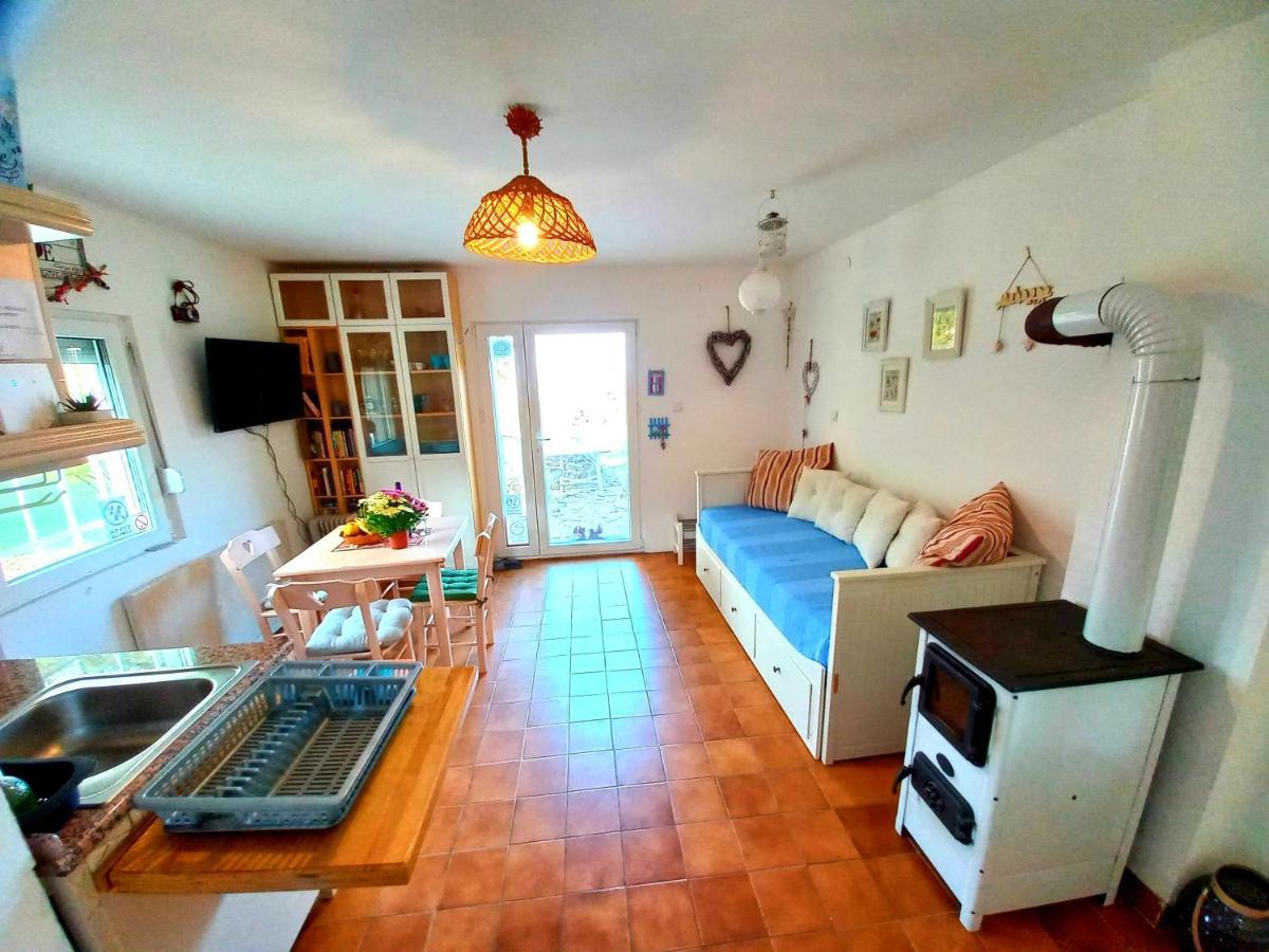 Honey Hill Apartment Fruska Gora Cerevic Zewnętrze zdjęcie