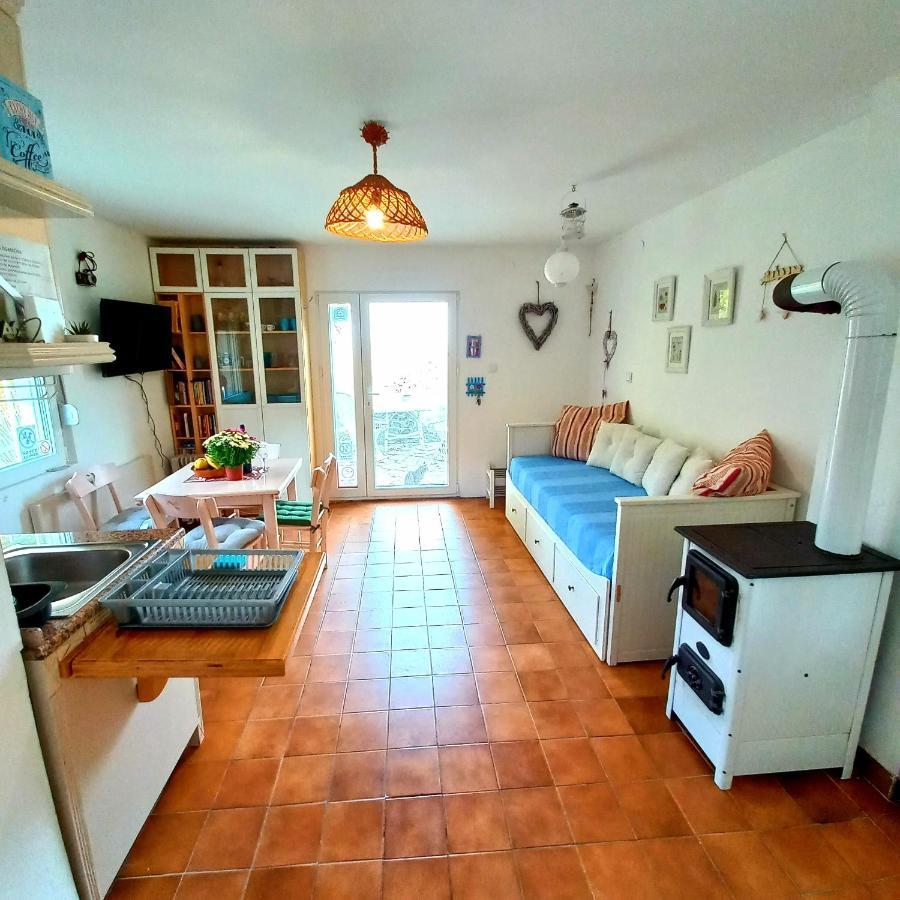 Honey Hill Apartment Fruska Gora Cerevic Zewnętrze zdjęcie