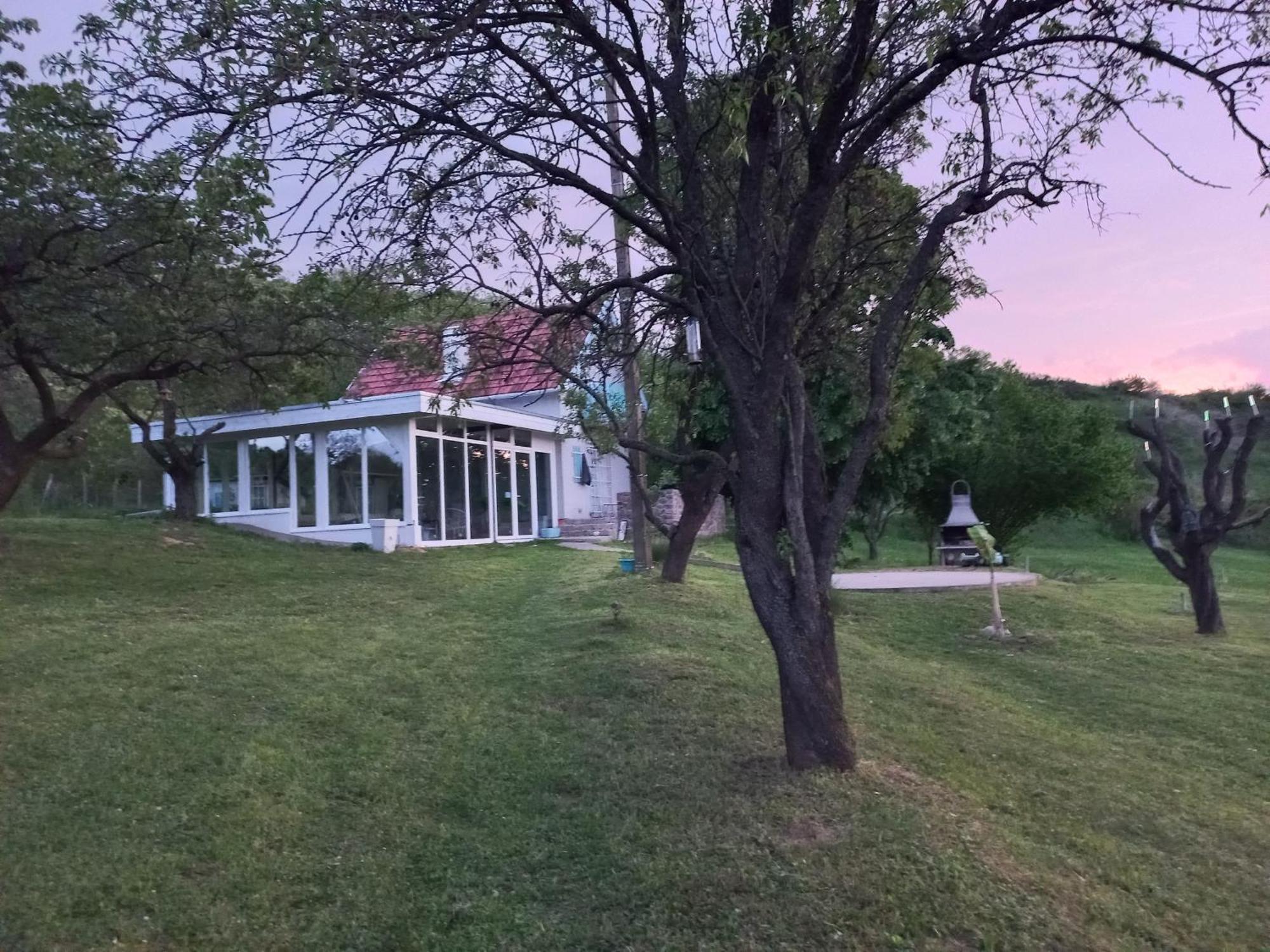 Honey Hill Apartment Fruska Gora Cerevic Zewnętrze zdjęcie