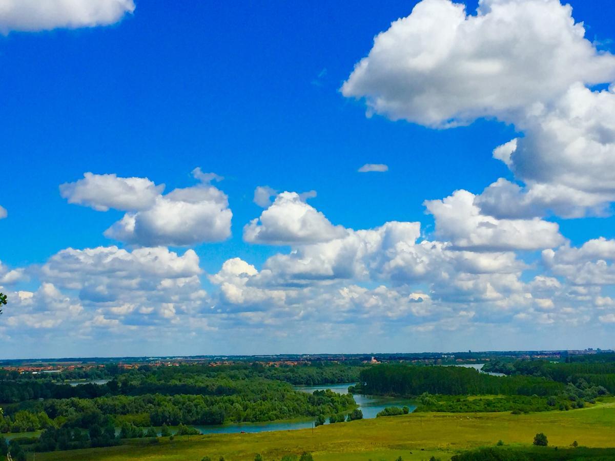 Honey Hill Apartment Fruska Gora Cerevic Zewnętrze zdjęcie